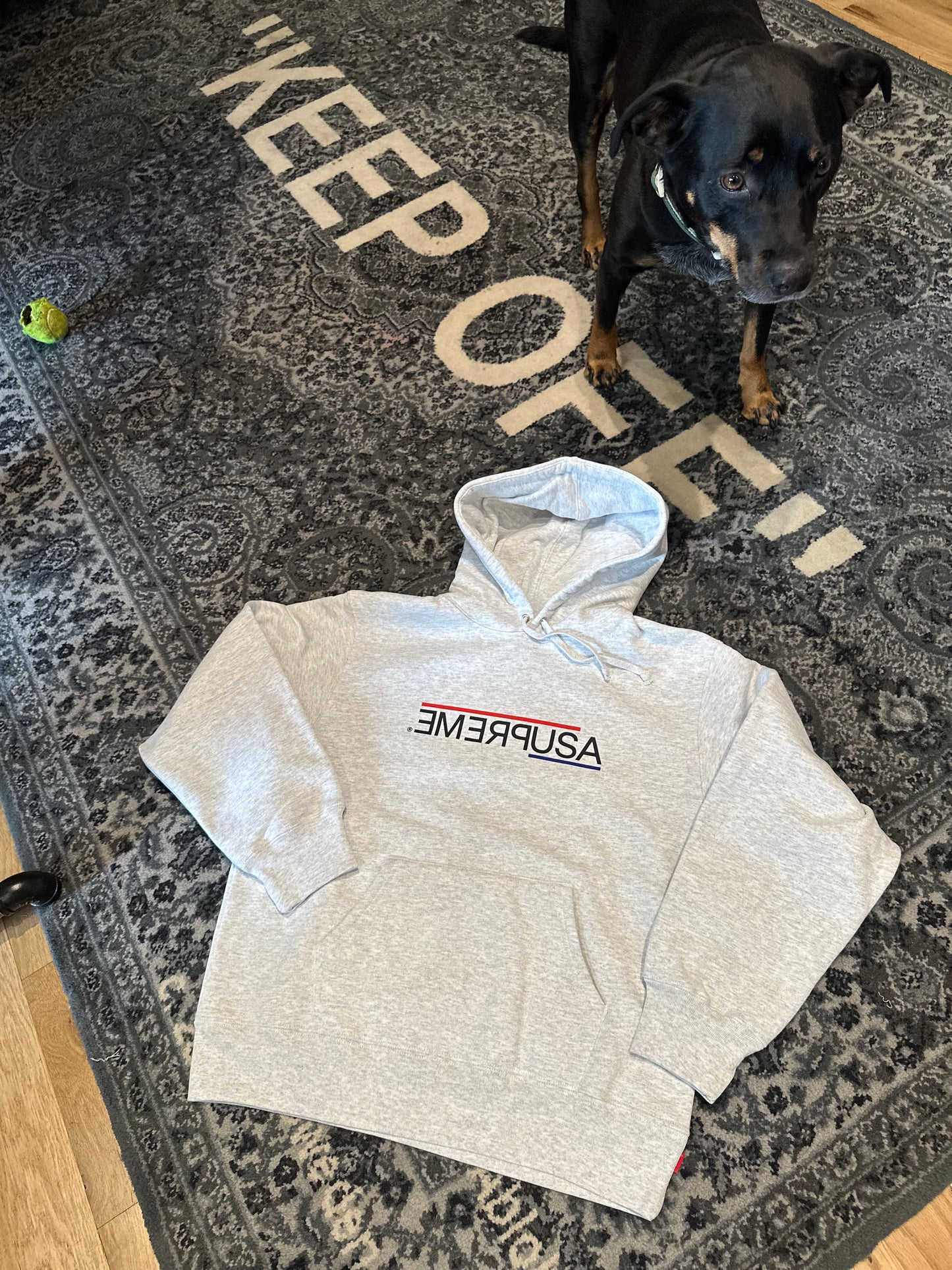 Supreme USA Hoodie DS Size Small
