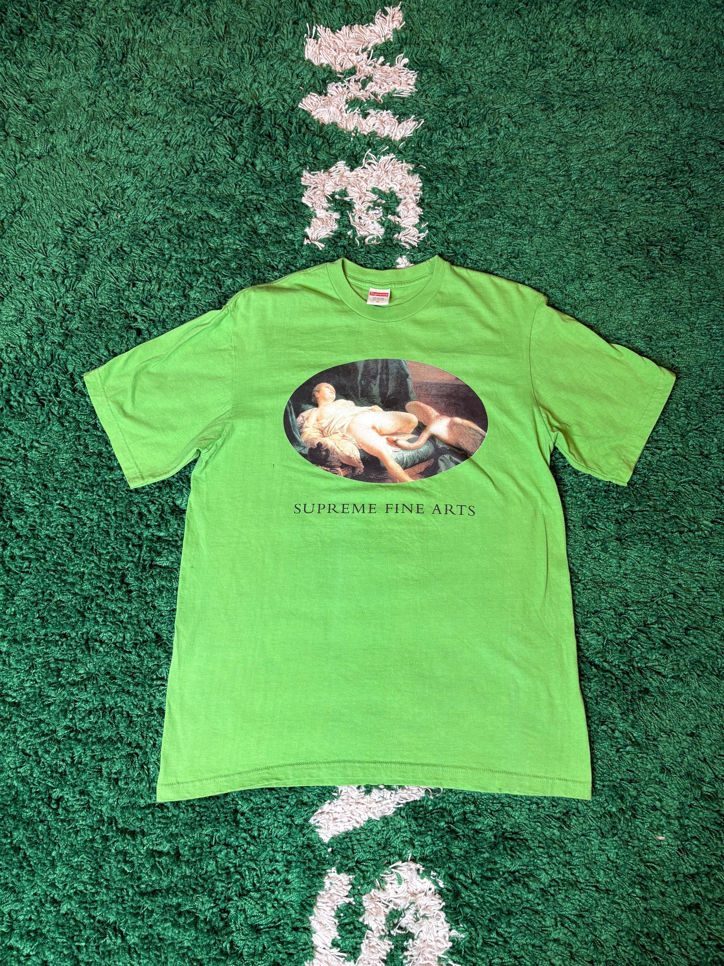 Supreme Swan Tee Green Size Medium