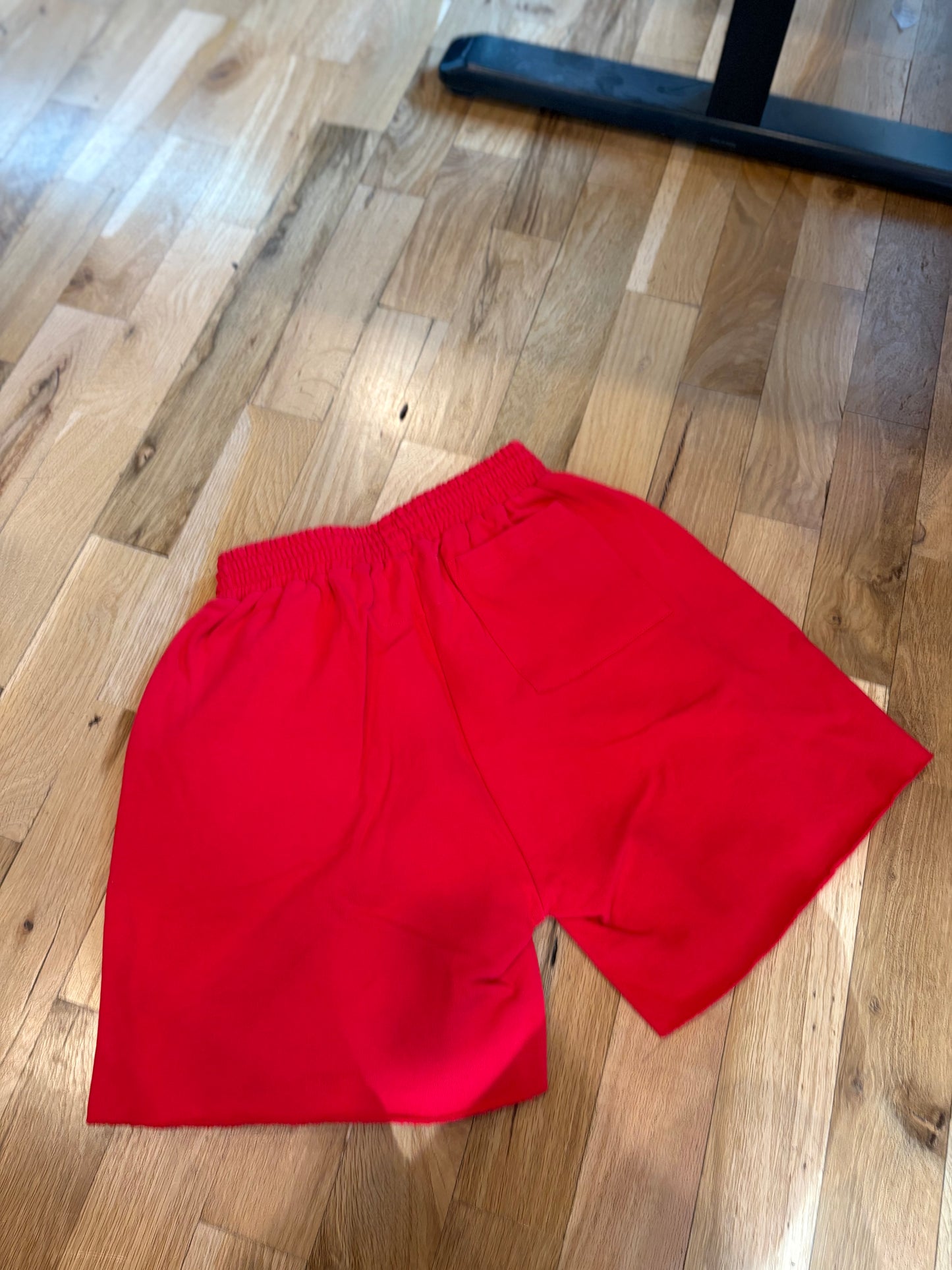 Sp5der OG Web Sweat Short Red DS