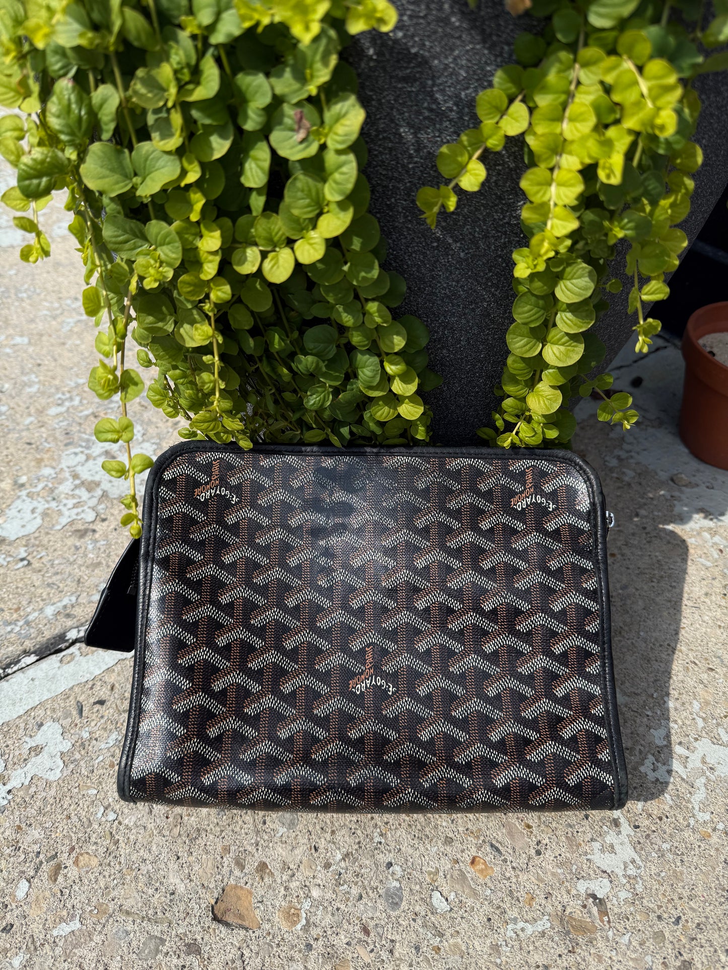 Goyard Money Pouch Bag
