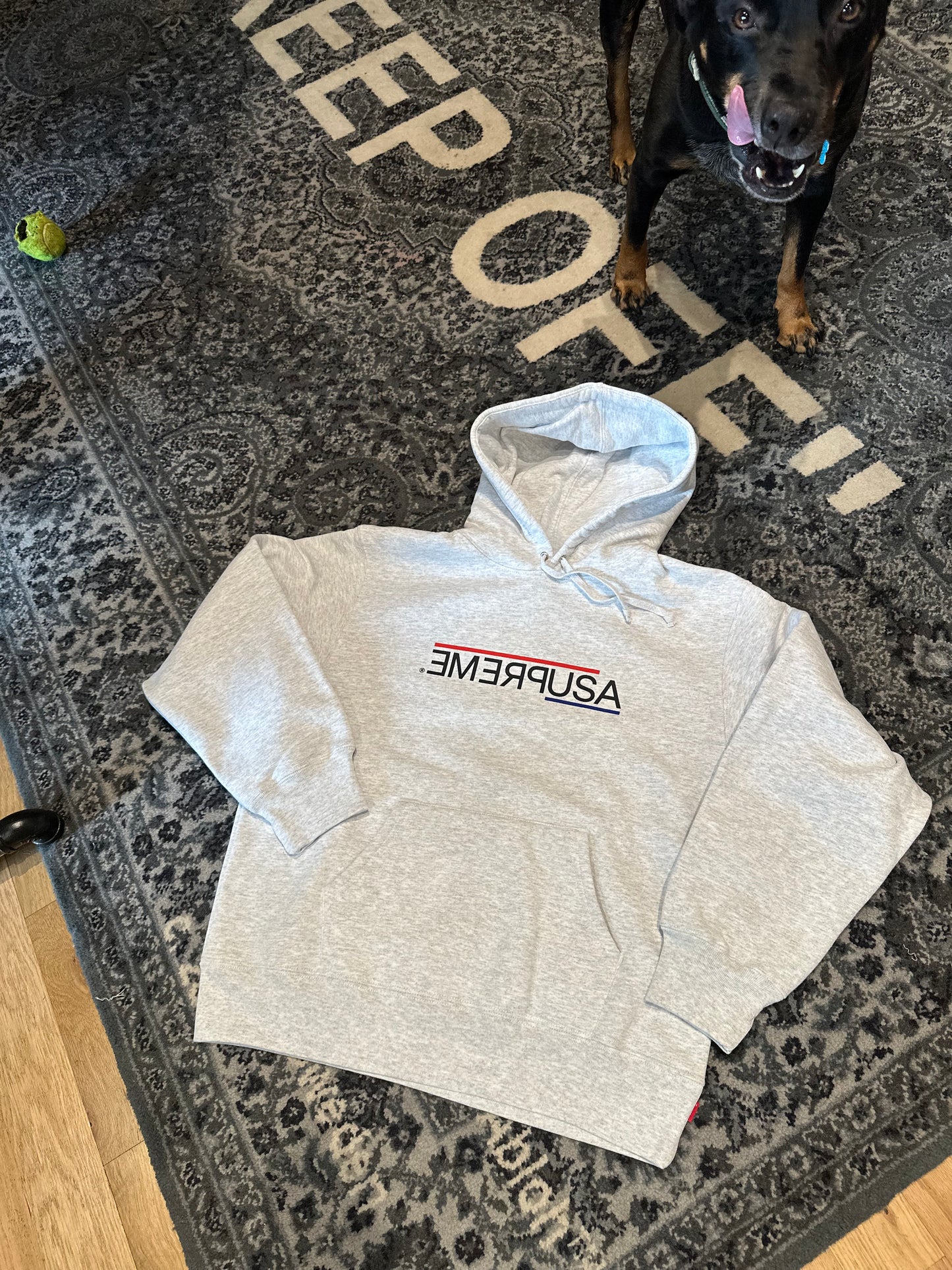 Supreme USA Hoodie DS Size Small