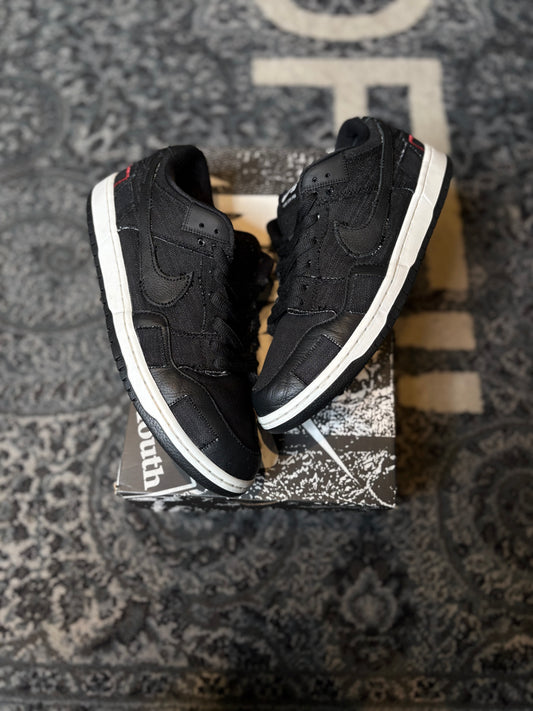 Nike Sb Dunk “Wasted Youth” (Special Box) Clean Size 11