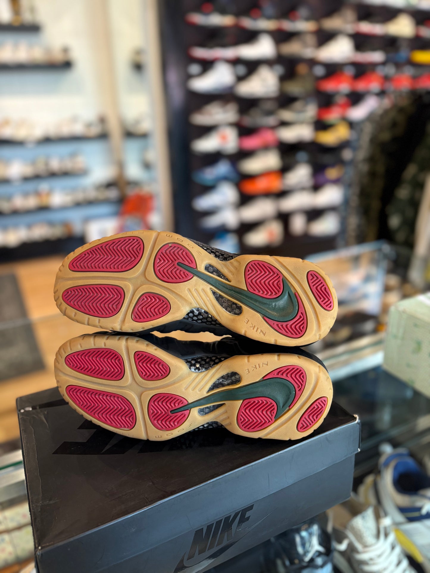 Foamposite Gucci Clean OG Size 10