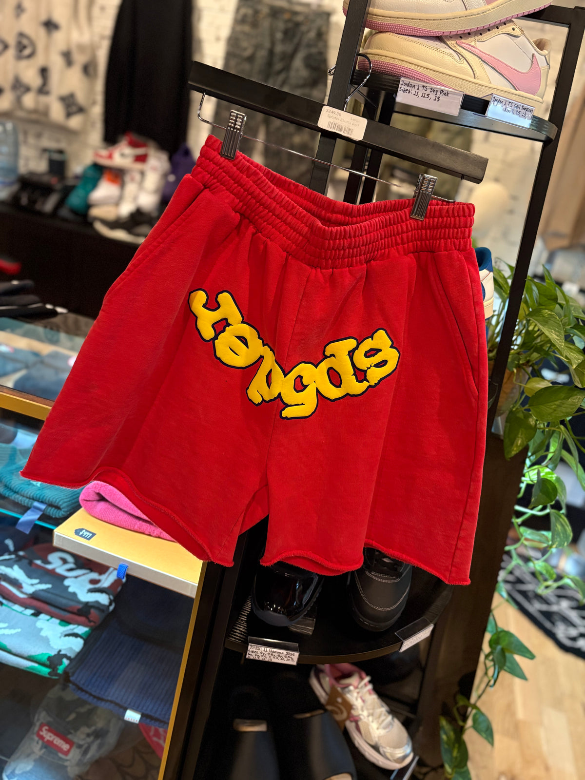 Sp5der Shorts Red