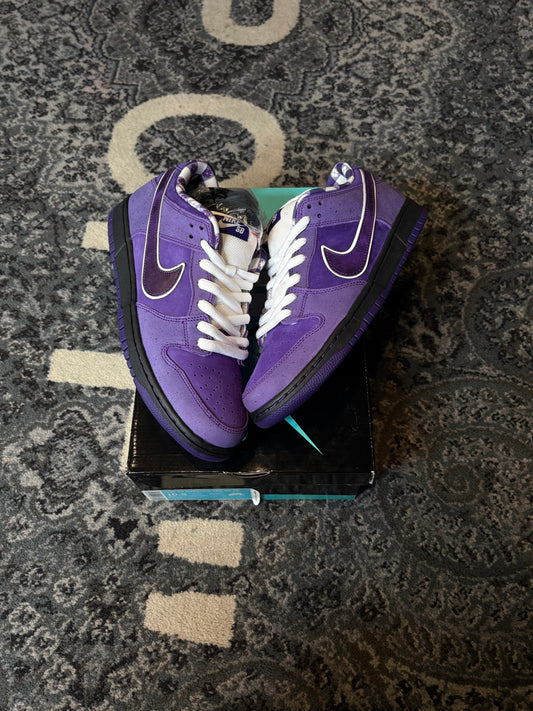 Nike Sb Dunk “Concept Purple Lobster” Ds Og Size 10.5