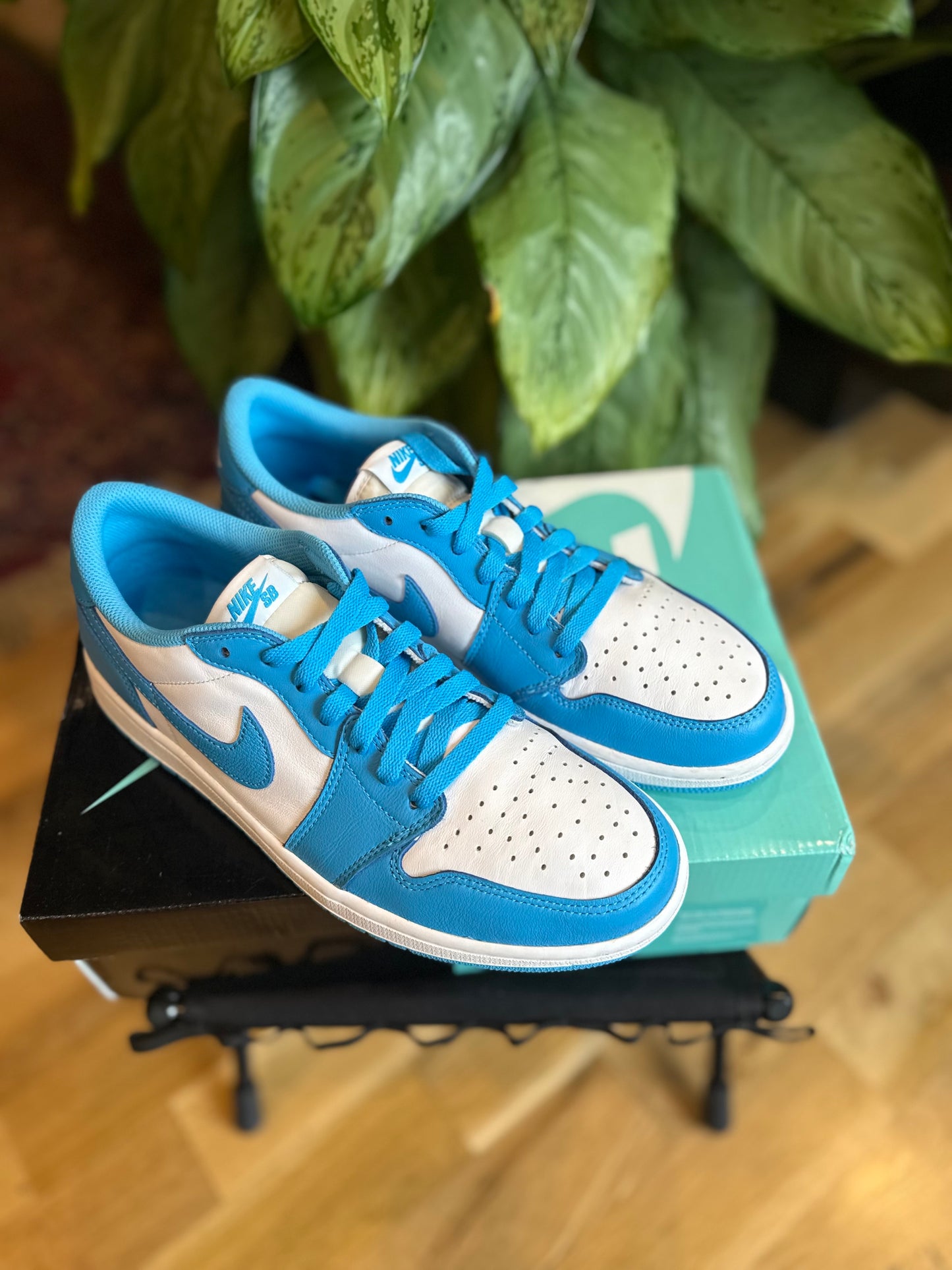 Jordan 1 Retro UNC Eric Koston VNDS Size 9
