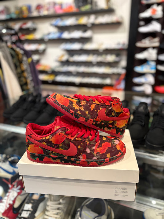 SB Dunk Wizard of Oz DS OG Size 11.5