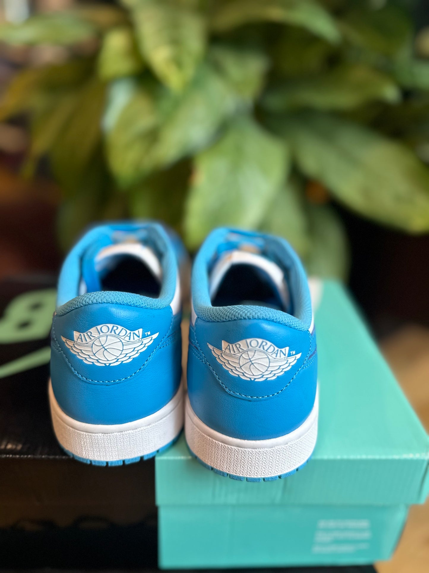 Jordan 1 Retro UNC Eric Koston VNDS Size 9