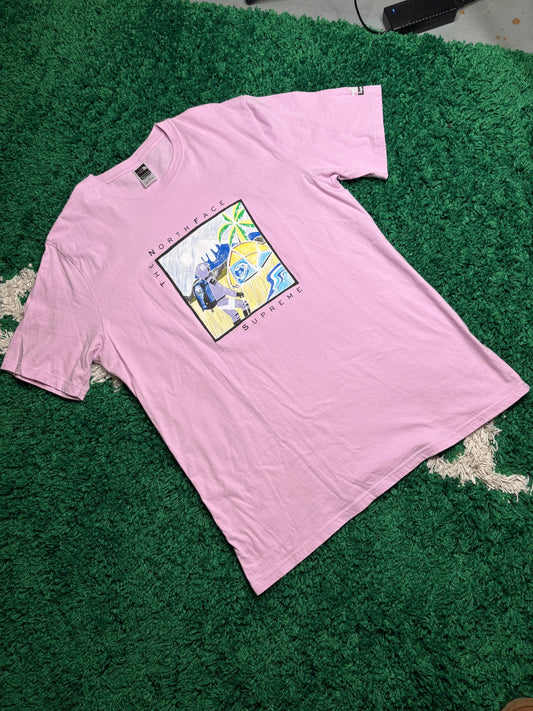 Supreme North Face Tee Purple Size Large