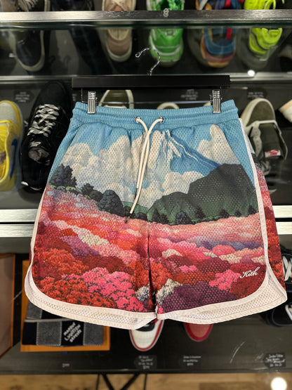 Kith Hawaii Shorts Size XS