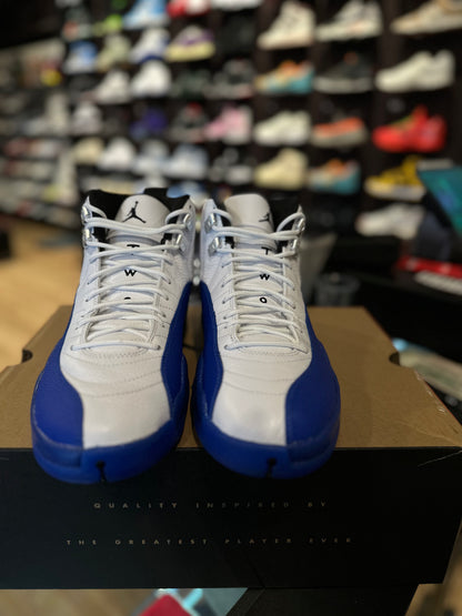 Jordan 12 Retro Blueberry DS OG Size 10.5