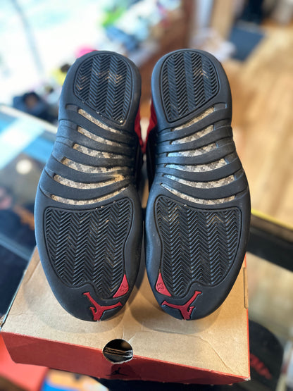 Jordan 12 Reverse Flu Sz. 11 Clean OG