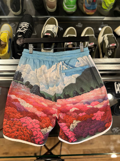 Kith Hawaii Shorts Size XS