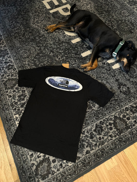Supreme x TNF Black Tee DS Size Small